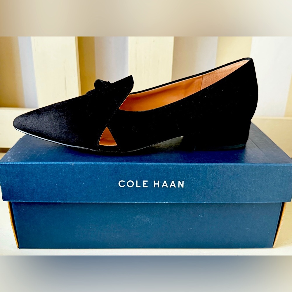 NIB Cole Haan Viola Skimmer black suede flats 7B!
